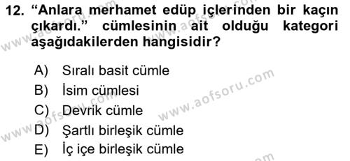 XVI-XIX. Yüzyıllar Türk Dili Dersi 2021 - 2022 Yılı Yaz Okulu Sınavı 12. Soru