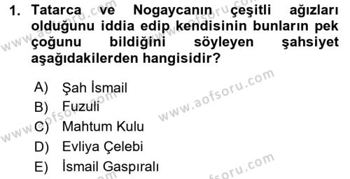 XVI-XIX. Yüzyıllar Türk Dili Dersi 2023 - 2024 Yılı Yaz Okulu Sınavı 1. Soru