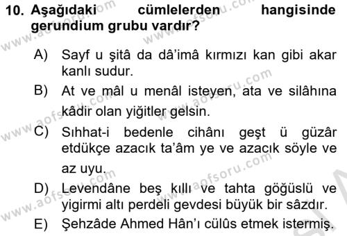 XVI-XIX. Yüzyıllar Türk Dili Dersi 2023 - 2024 Yılı Yaz Okulu Sınavı 10. Soru