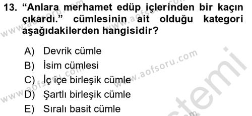 XVI-XIX. Yüzyıllar Türk Dili Dersi 2023 - 2024 Yılı Yaz Okulu Sınavı 13. Soru