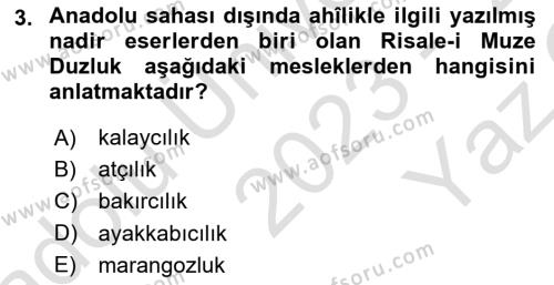 XVI-XIX. Yüzyıllar Türk Dili Dersi 2023 - 2024 Yılı Yaz Okulu Sınavı 3. Soru