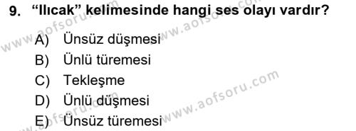 XVI-XIX. Yüzyıllar Türk Dili Dersi 2023 - 2024 Yılı Yaz Okulu Sınavı 9. Soru