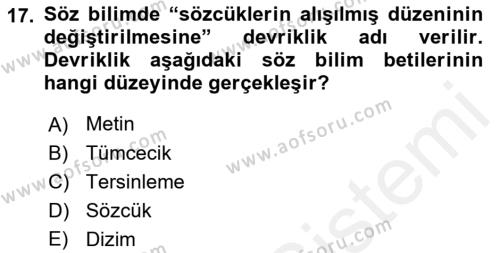 Eleştiri Kuramları Dersi 2017 - 2018 Yılı 3 Ders Sınavı 17. Soru