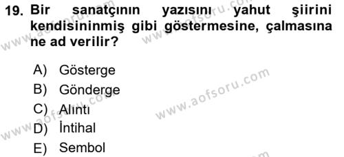 Eleştiri Kuramları Dersi 2018 - 2019 Yılı 3 Ders Sınavı 19. Soru