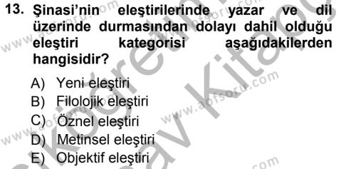 Eleştiri Tarihi Dersi 2012 - 2013 Yılı (Vize) Ara Sınavı 13. Soru