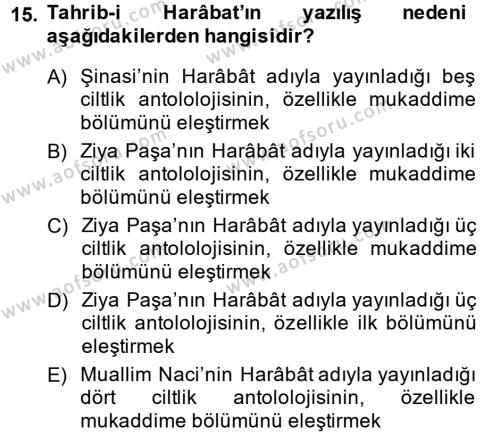 Eleştiri Tarihi Dersi 2013 - 2014 Yılı (Vize) Ara Sınavı 15. Soru
