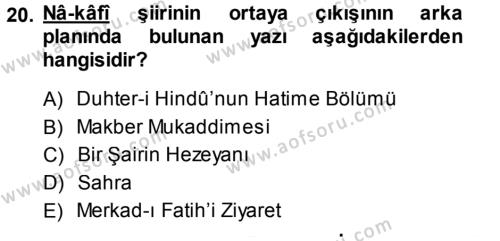 Eleştiri Tarihi Dersi 2013 - 2014 Yılı (Vize) Ara Sınavı 20. Soru