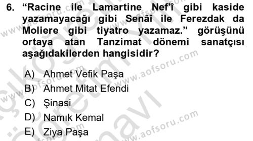 Eleştiri Tarihi Dersi 2020 - 2021 Yılı Yaz Okulu Sınavı 6. Soru