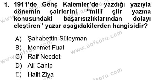 Eleştiri Tarihi Dersi 2021 - 2022 Yılı Yaz Okulu Sınavı 1. Soru