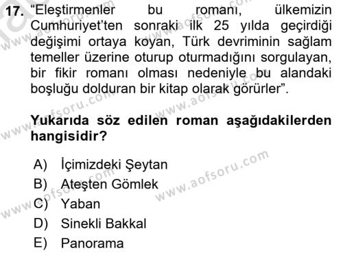 Eleştiri Tarihi Dersi 2021 - 2022 Yılı Yaz Okulu Sınavı 17. Soru