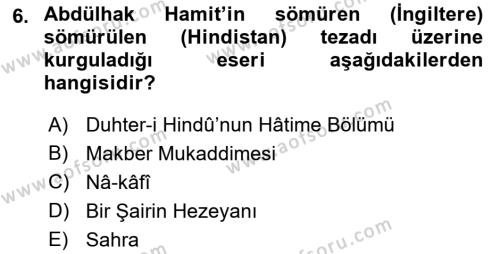 Eleştiri Tarihi Dersi 2021 - 2022 Yılı Yaz Okulu Sınavı 6. Soru