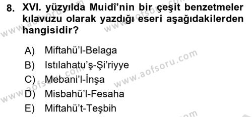 Eleştiri Tarihi Dersi 2021 - 2022 Yılı Yaz Okulu Sınavı 8. Soru