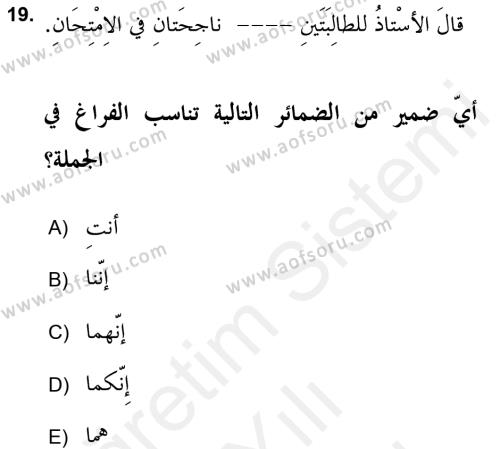 Arapça 2 (APÇ) Dersi 2017 - 2018 Yılı (Vize) Ara Sınavı 19. Soru