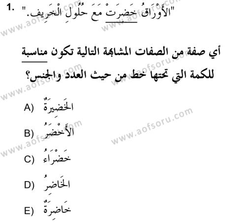 Arapça 2 (APÇ) Dersi 2018 - 2019 Yılı (Vize) Ara Sınavı 1. Soru