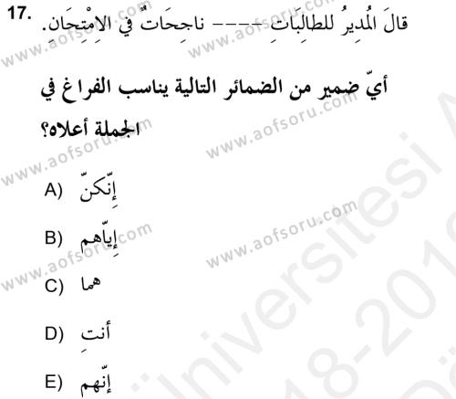 Arapça 2 (APÇ) Dersi 2018 - 2019 Yılı (Vize) Ara Sınavı 17. Soru