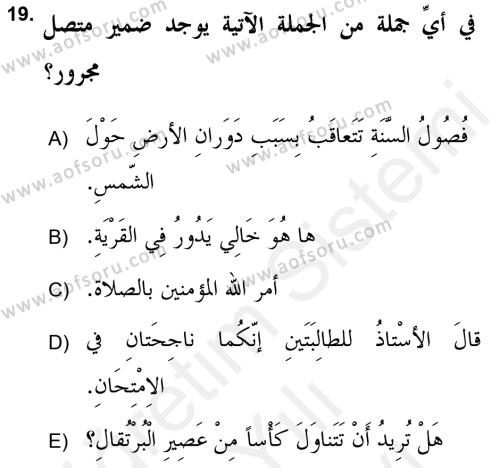 Arapça 2 (APÇ) Dersi 2018 - 2019 Yılı (Vize) Ara Sınavı 19. Soru