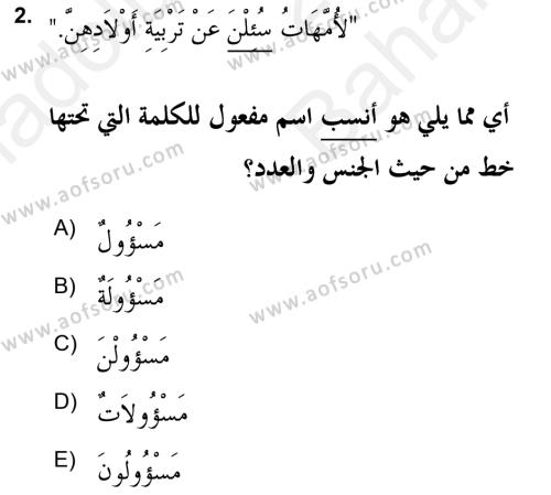 Arapça 2 (APÇ) Dersi 2018 - 2019 Yılı (Vize) Ara Sınavı 2. Soru