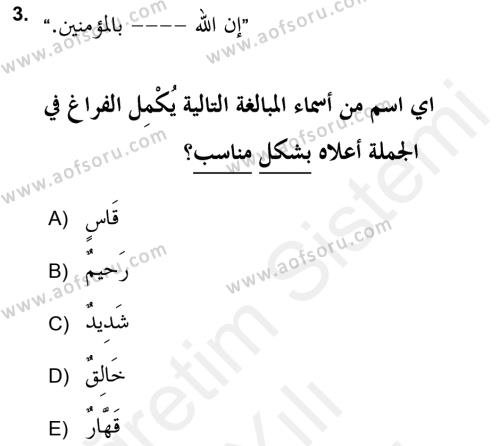 Arapça 2 (APÇ) Dersi 2018 - 2019 Yılı (Vize) Ara Sınavı 3. Soru