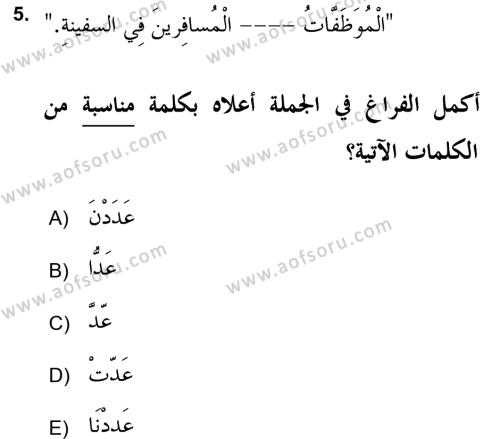 Arapça 2 (APÇ) Dersi 2018 - 2019 Yılı (Vize) Ara Sınavı 5. Soru