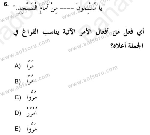 Arapça 2 (APÇ) Dersi 2018 - 2019 Yılı (Vize) Ara Sınavı 6. Soru