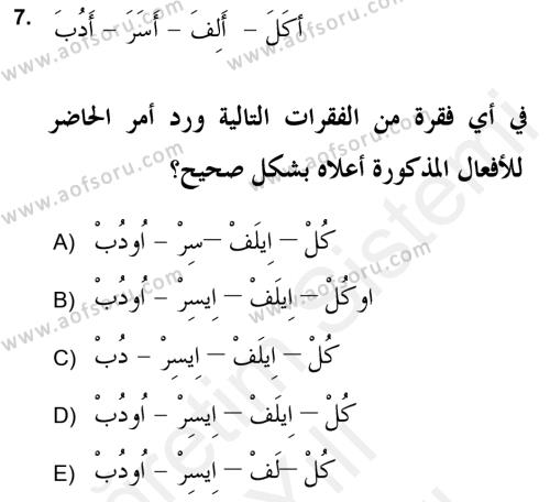Arapça 2 (APÇ) Dersi 2018 - 2019 Yılı (Vize) Ara Sınavı 7. Soru
