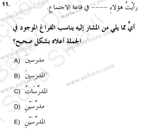 Arapça 2 (APÇ) Dersi 2018 - 2019 Yılı (Final) Dönem Sonu Sınavı 11. Soru