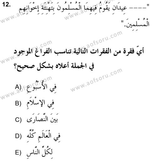 Arapça 2 (APÇ) Dersi 2018 - 2019 Yılı (Final) Dönem Sonu Sınavı 12. Soru