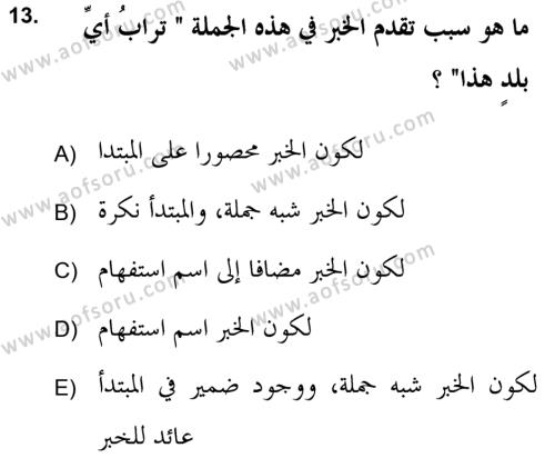 Arapça 2 (APÇ) Dersi 2018 - 2019 Yılı (Final) Dönem Sonu Sınavı 13. Soru