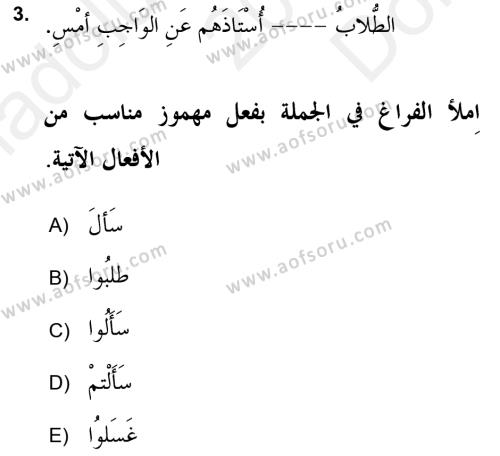 Arapça 2 (APÇ) Dersi 2018 - 2019 Yılı (Final) Dönem Sonu Sınavı 3. Soru