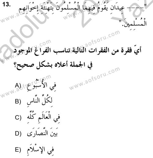 Arapça 2 (APÇ) Dersi 2018 - 2019 Yılı Yaz Okulu Sınavı 13. Soru