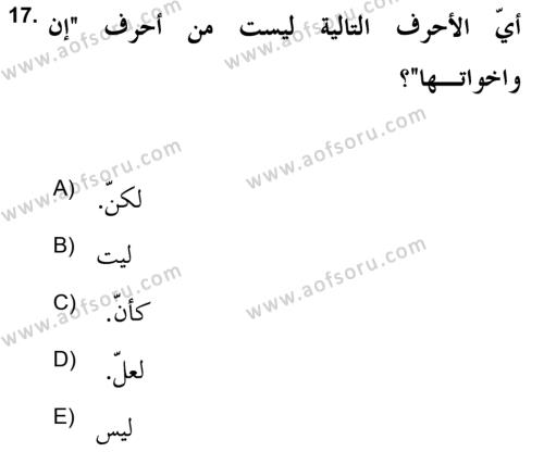 Arapça 2 (APÇ) Dersi 2018 - 2019 Yılı Yaz Okulu Sınavı 17. Soru