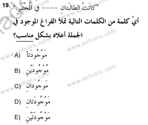 Arapça 2 (APÇ) Dersi 2018 - 2019 Yılı Yaz Okulu Sınavı 19. Soru
