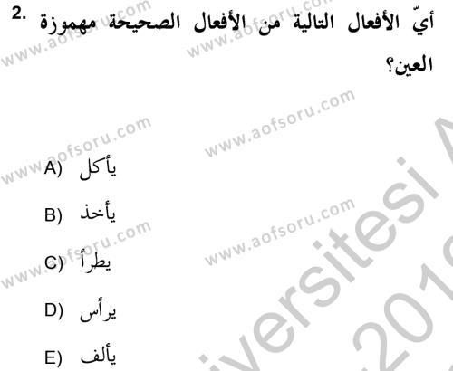 Arapça 2 (APÇ) Dersi 2018 - 2019 Yılı Yaz Okulu Sınavı 2. Soru