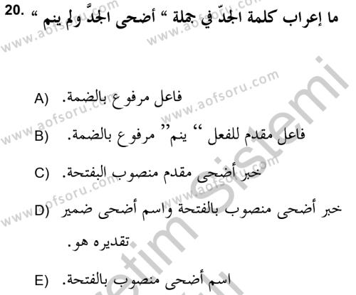 Arapça 2 (APÇ) Dersi 2018 - 2019 Yılı Yaz Okulu Sınavı 20. Soru
