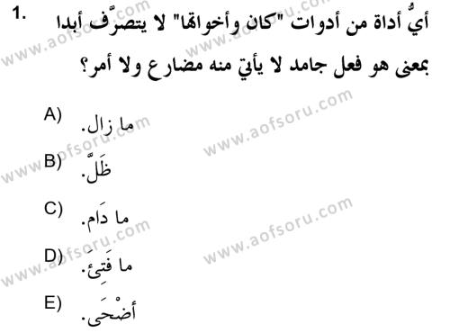 Arapça 2 (APÇ) Dersi 2020 - 2021 Yılı Yaz Okulu Sınavı 1. Soru