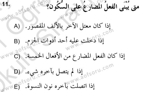 Arapça 2 (APÇ) Dersi 2020 - 2021 Yılı Yaz Okulu Sınavı 11. Soru