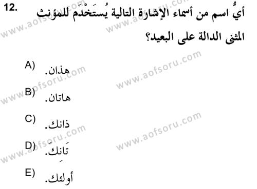 Arapça 2 (APÇ) Dersi 2020 - 2021 Yılı Yaz Okulu Sınavı 12. Soru