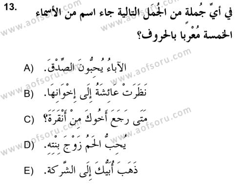 Arapça 2 (APÇ) Dersi 2020 - 2021 Yılı Yaz Okulu Sınavı 13. Soru