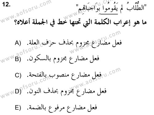 Arapça 2 (APÇ) Dersi 2021 - 2022 Yılı (Vize) Ara Sınavı 12. Soru
