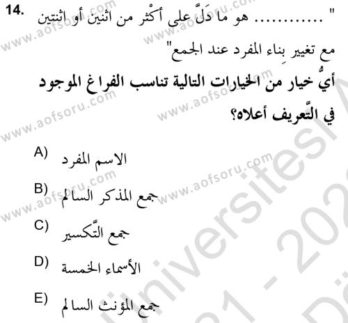 Arapça 2 (APÇ) Dersi 2021 - 2022 Yılı (Vize) Ara Sınavı 14. Soru