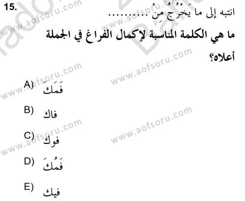 Arapça 2 (APÇ) Dersi 2021 - 2022 Yılı (Vize) Ara Sınavı 15. Soru