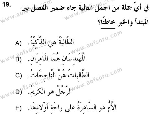 Arapça 2 (APÇ) Dersi 2021 - 2022 Yılı (Vize) Ara Sınavı 19. Soru