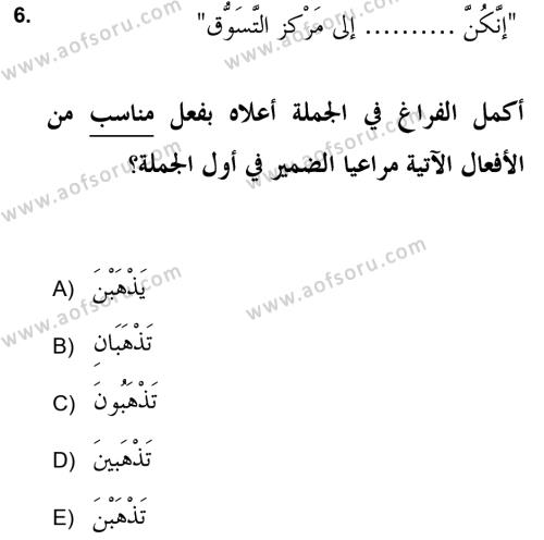 Arapça 2 (APÇ) Dersi 2021 - 2022 Yılı (Vize) Ara Sınavı 6. Soru