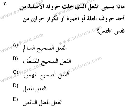 Arapça 2 (APÇ) Dersi 2021 - 2022 Yılı (Vize) Ara Sınavı 7. Soru