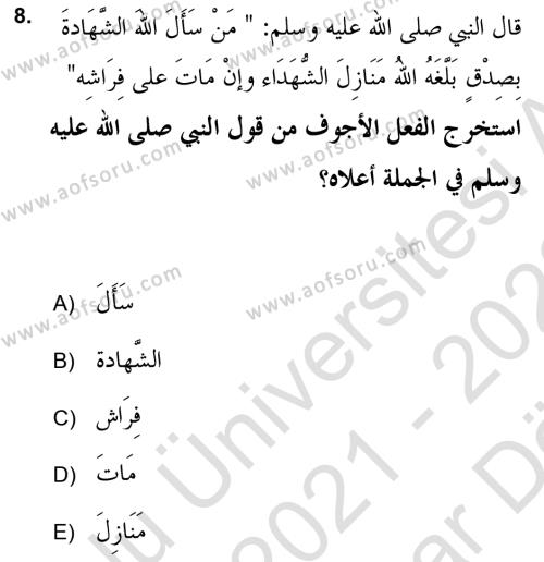 Arapça 2 (APÇ) Dersi 2021 - 2022 Yılı (Vize) Ara Sınavı 8. Soru