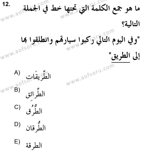 Arapça 2 (APÇ) Dersi 2021 - 2022 Yılı (Final) Dönem Sonu Sınavı 12. Soru