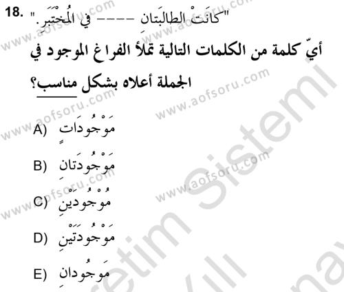 Arapça 2 (APÇ) Dersi 2021 - 2022 Yılı (Final) Dönem Sonu Sınavı 18. Soru