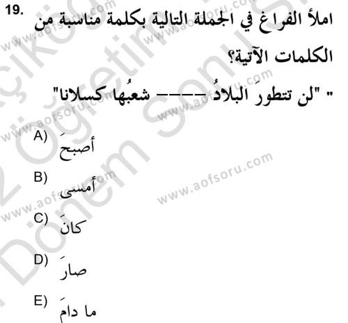 Arapça 2 (APÇ) Dersi 2021 - 2022 Yılı (Final) Dönem Sonu Sınavı 19. Soru