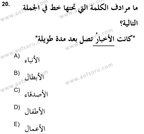 Arapça 2 (APÇ) Dersi 2021 - 2022 Yılı (Final) Dönem Sonu Sınavı 20. Soru