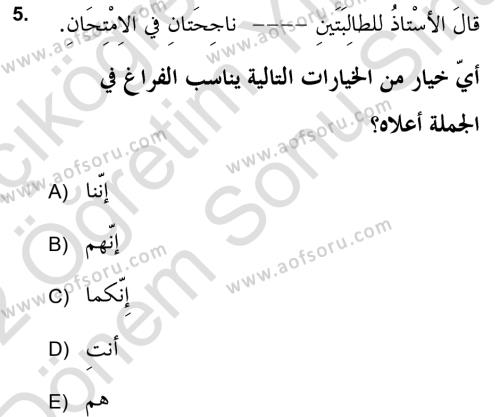 Arapça 2 (APÇ) Dersi 2021 - 2022 Yılı (Final) Dönem Sonu Sınavı 5. Soru